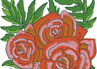 rose 03 - 5x7 jc